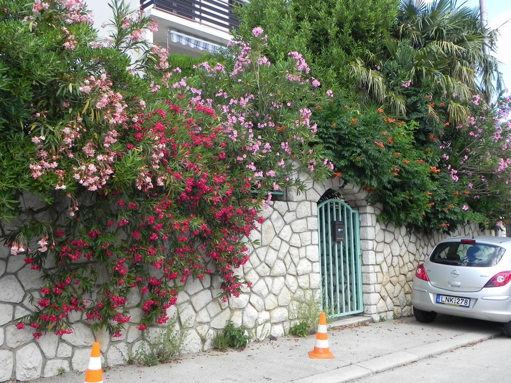 Apartments Katalenic Selce Esterno foto