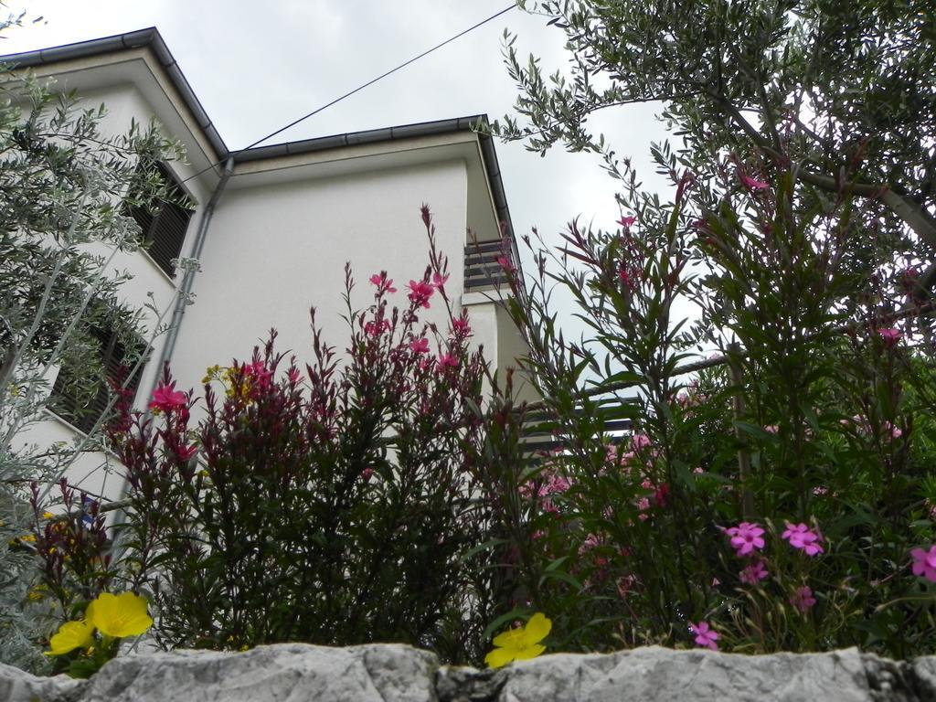 Apartments Katalenic Selce Esterno foto