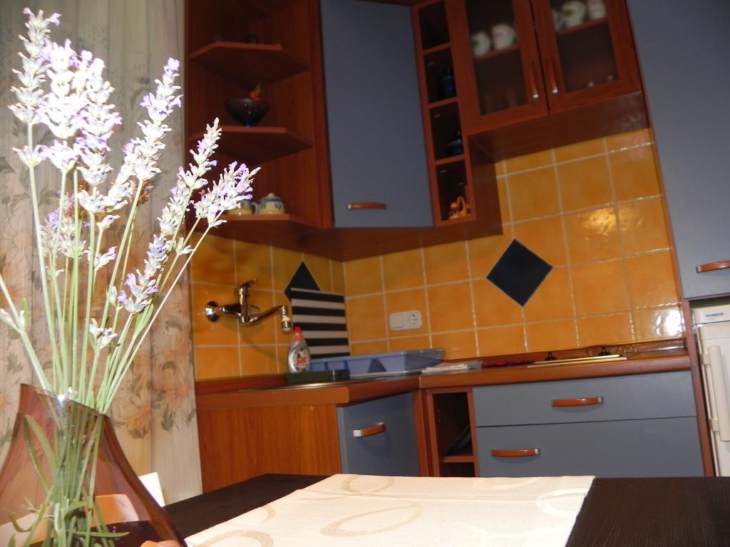 Apartments Katalenic Selce Esterno foto